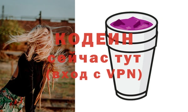 шишки Новодвинск