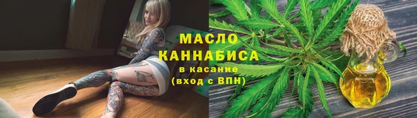гидра Анжеро-Судженск