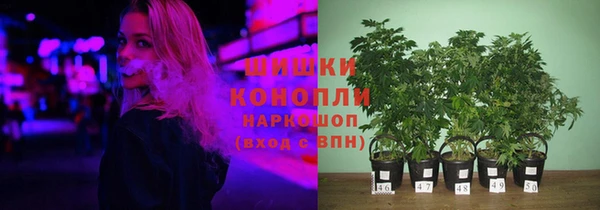 шишки Новодвинск