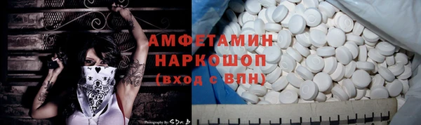 шишки Новодвинск