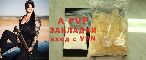 шишки Новодвинск