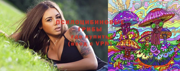 a pvp Новозыбков