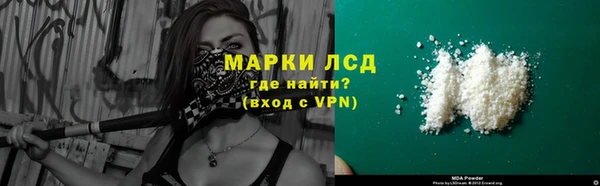 шишки Новодвинск