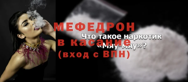 шишки Новодвинск