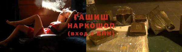 шишки Новодвинск