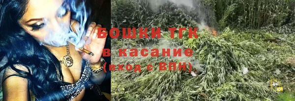 a pvp Новозыбков