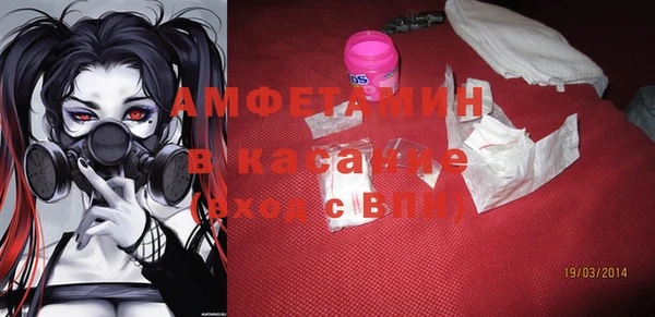 шишки Новодвинск