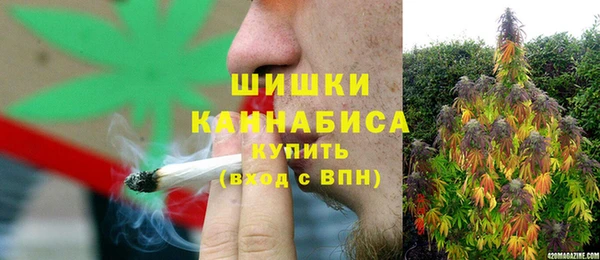a pvp Новозыбков
