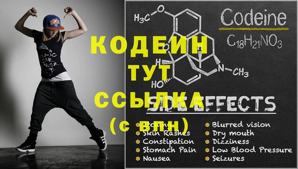 шишки Новодвинск
