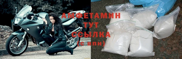 a pvp Новозыбков