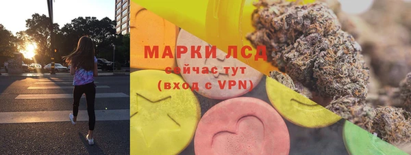 шишки Новодвинск