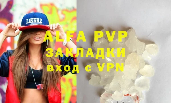 a pvp Новозыбков