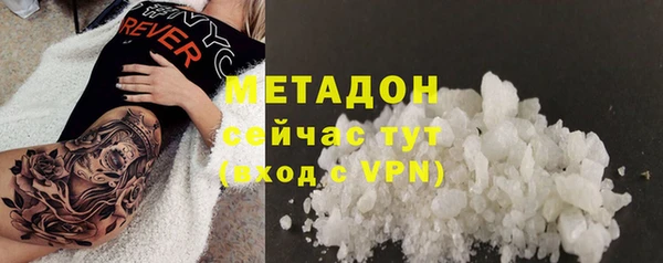 шишки Новодвинск
