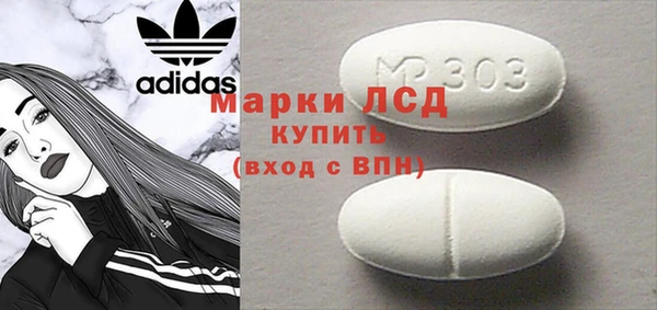 шишки Новодвинск